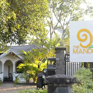 The Mango *** Канди